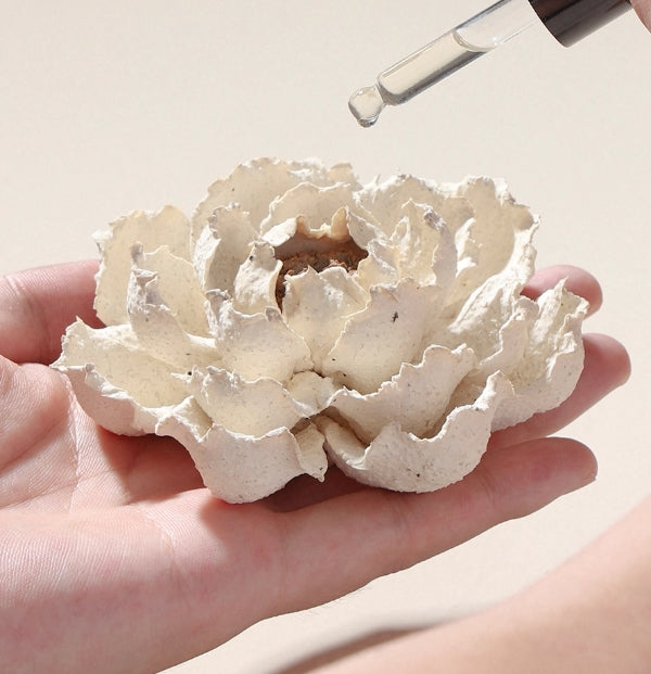 Jingde Bloom Diffuser