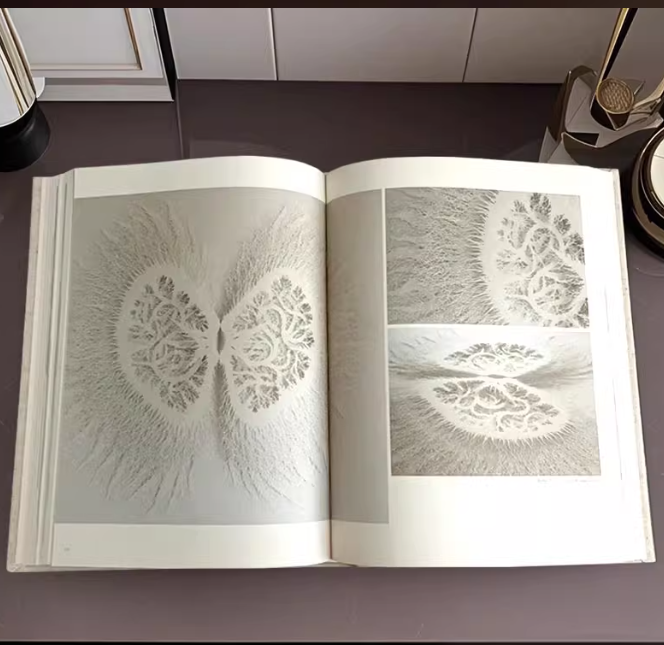 Curated Books Set B (Set of 3s)