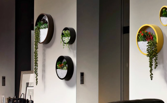 Auric Circle Wallscapes