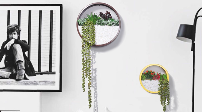 Auric Circle Wallscapes