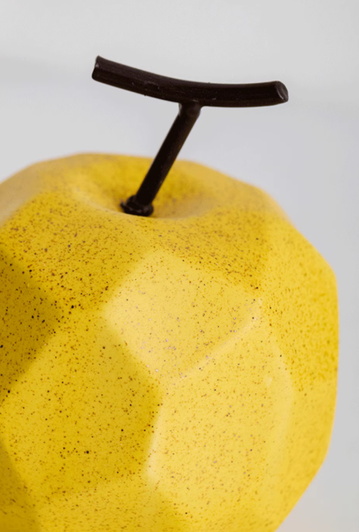 Geometric Harvest Collection