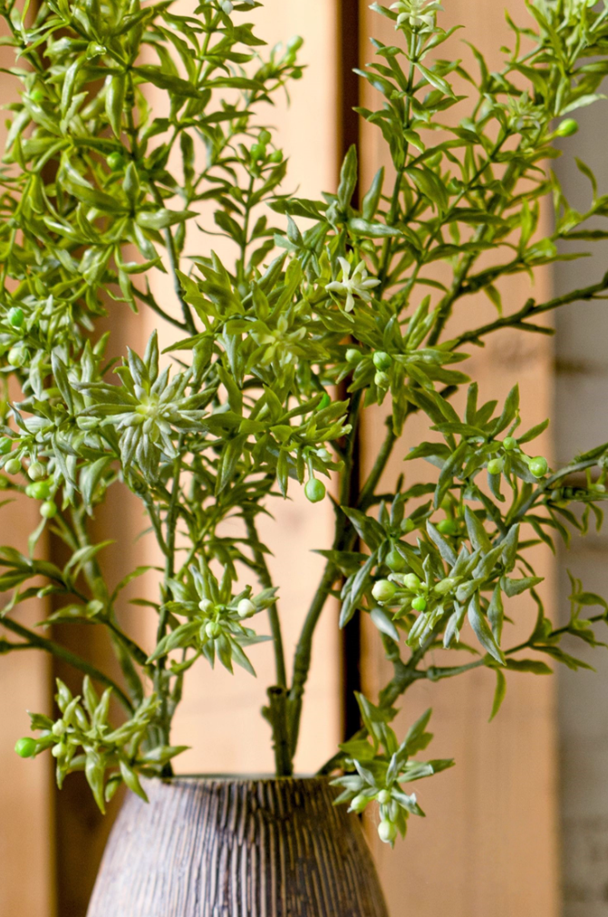 Full Foliage Autumn Botanical Collection