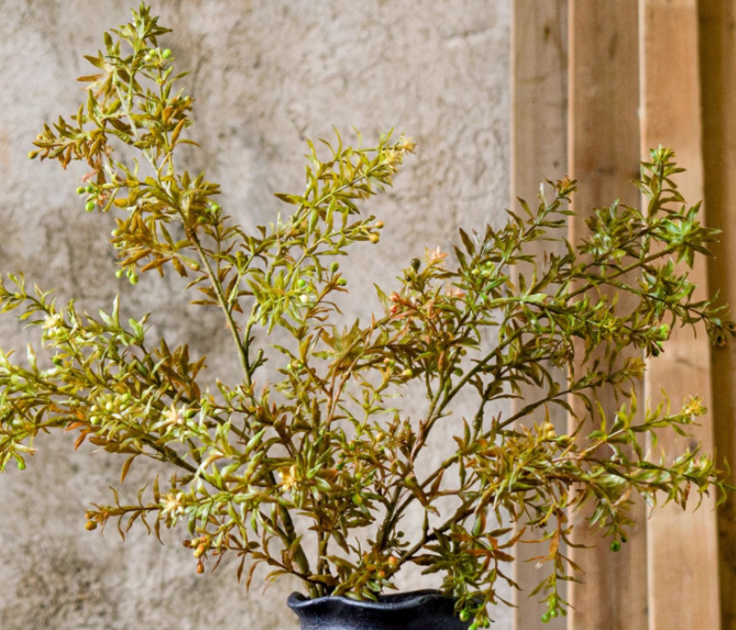 Full Foliage Autumn Botanical Collection