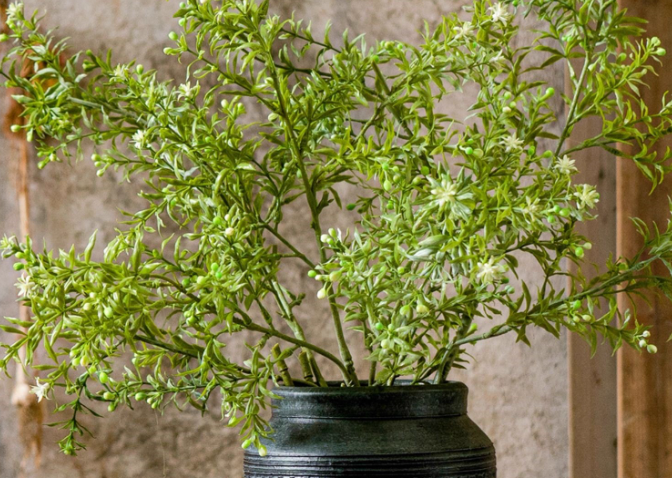 Full Foliage Autumn Botanical Collection