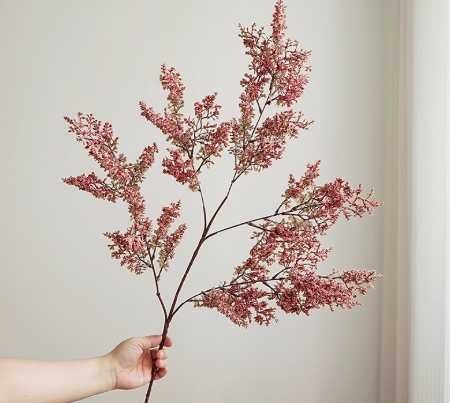 Bloom Botanical Collection