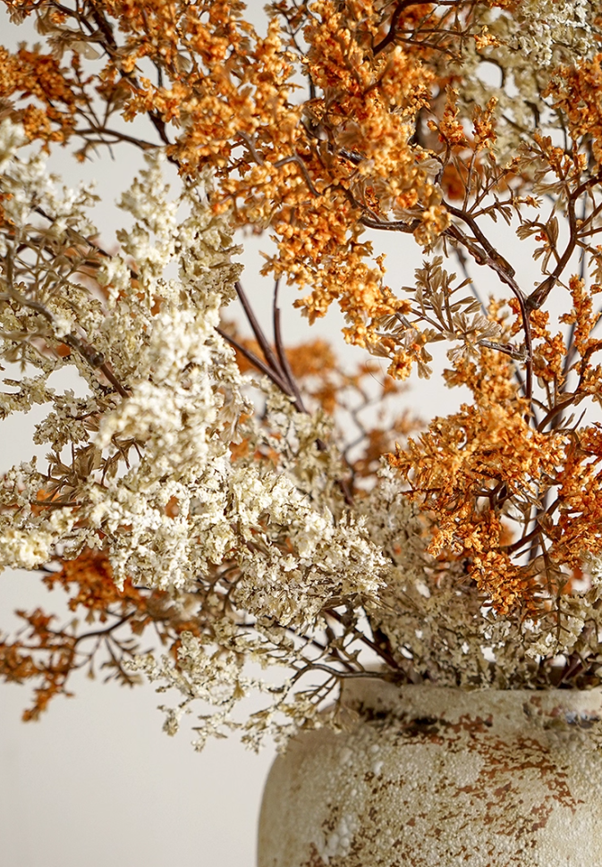 Bloom Botanical Collection