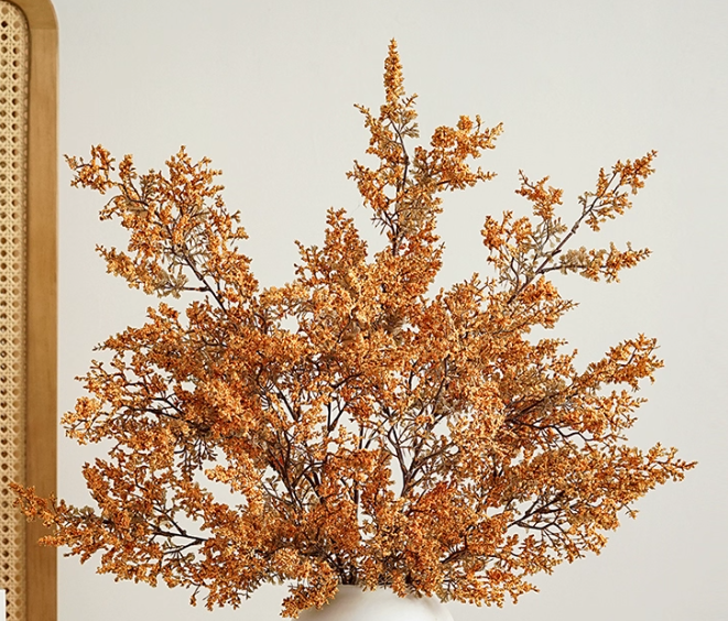 Bloom Botanical Collection