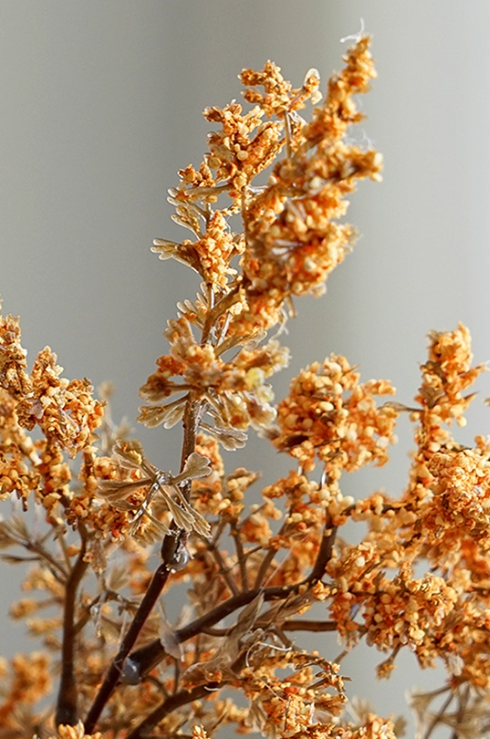 Bloom Botanical Collection