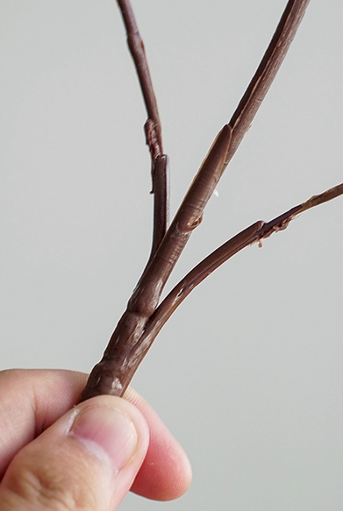 Bloom Botanical Collection