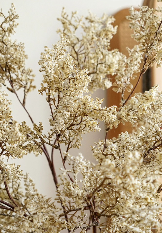 Bloom Botanical Collection