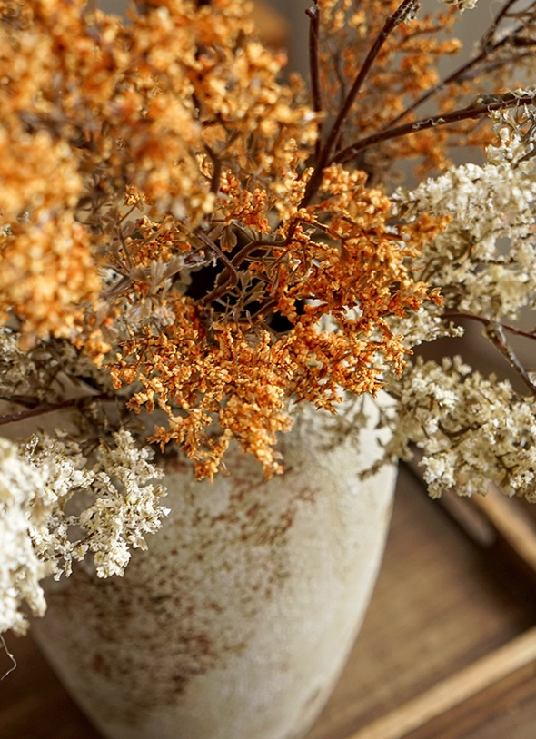 Bloom Botanical Collection