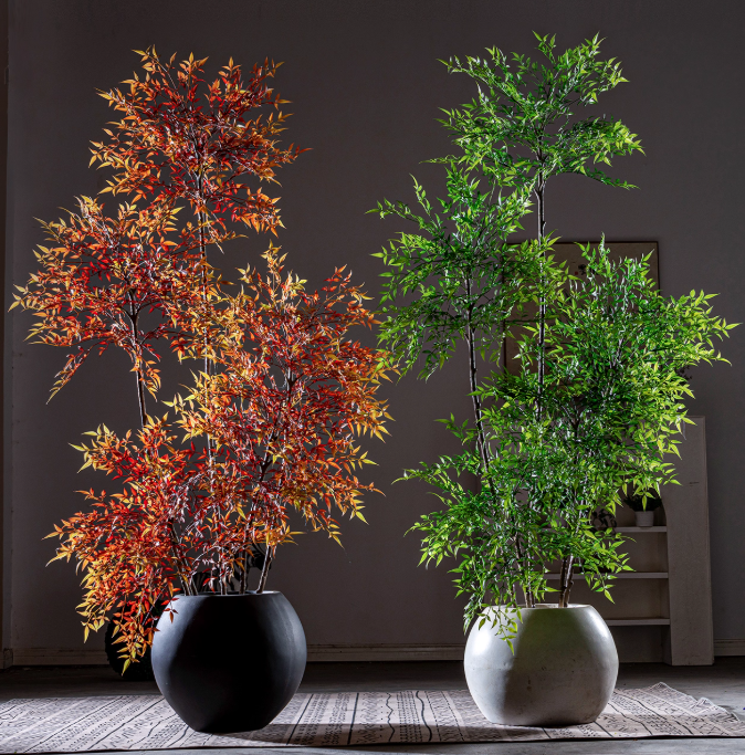 Majestic Autumn Canopy Permanent Collection