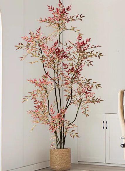 Whisper Canopy Tree Botanical Collection