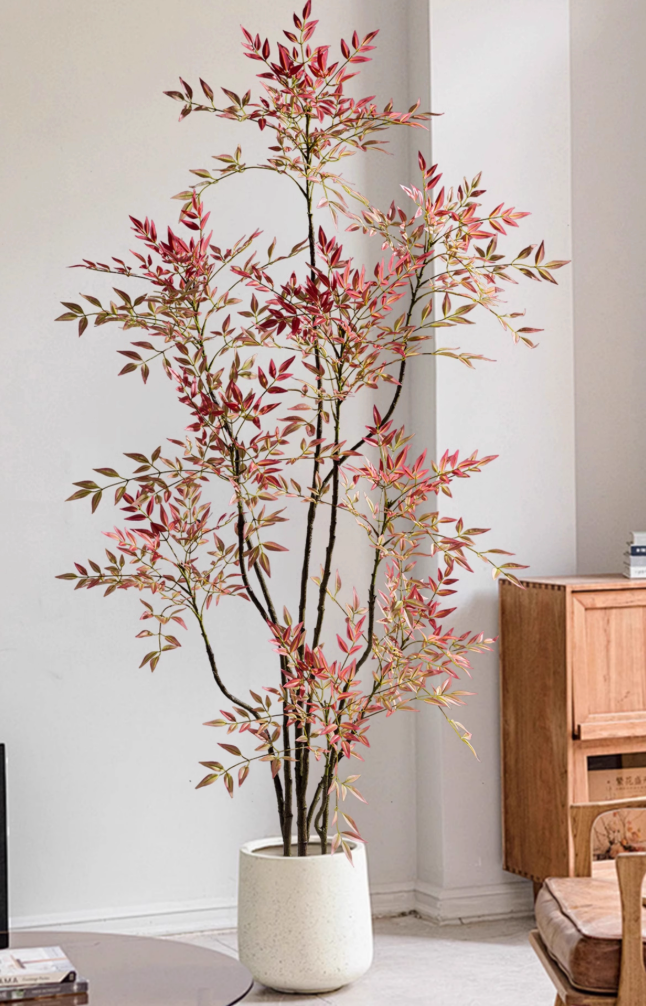 Whisper Canopy Tree Botanical Collection