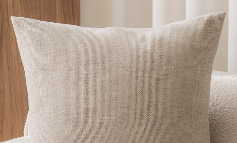 The Kichō Border Cushion