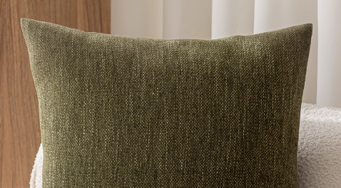 The Kichō Border Cushion