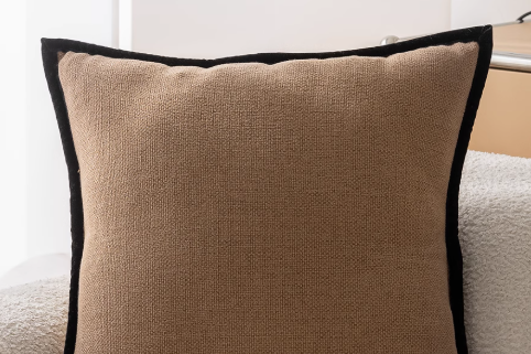 The Kichō Border Cushion