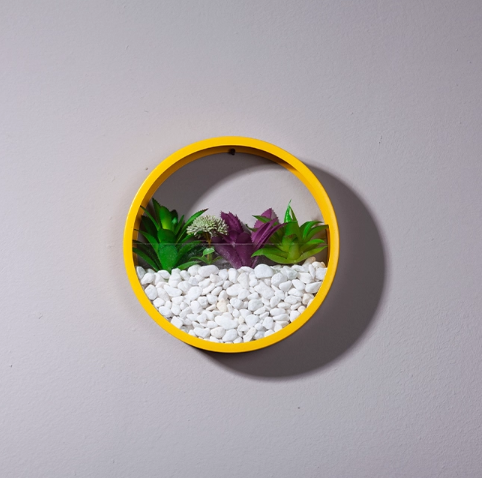 Auric Circle Wallscapes