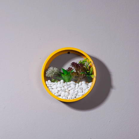 Auric Circle Wallscapes