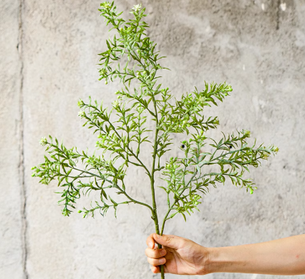 Full Foliage Autumn Botanical Collection