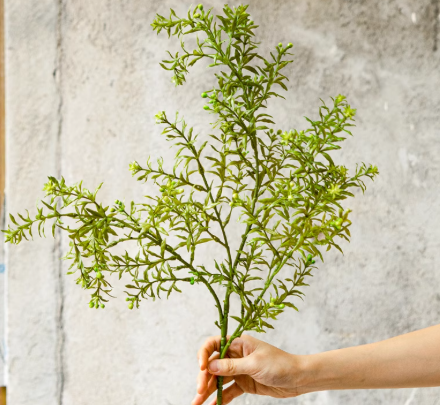 Full Foliage Autumn Botanical Collection