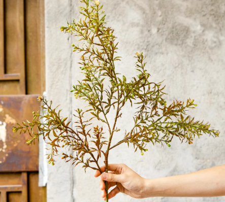 Full Foliage Autumn Botanical Collection