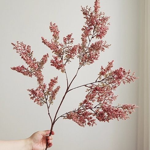 Bloom Botanical Collection