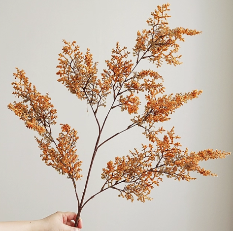 Bloom Botanical Collection