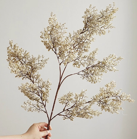 Bloom Botanical Collection