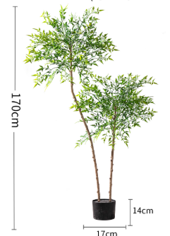 Majestic Autumn Canopy Permanent Collection