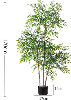 Majestic Autumn Canopy Permanent Collection