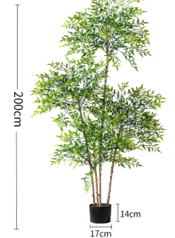 Majestic Autumn Canopy Permanent Collection