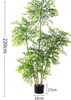 Majestic Autumn Canopy Permanent Collection