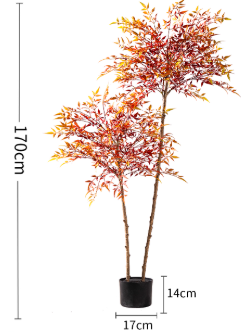 Majestic Autumn Canopy Permanent Collection