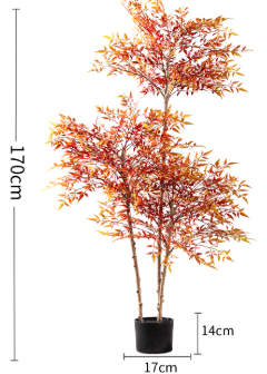 Majestic Autumn Canopy Permanent Collection