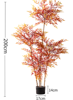 Majestic Autumn Canopy Permanent Collection