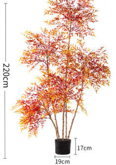 Majestic Autumn Canopy Permanent Collection