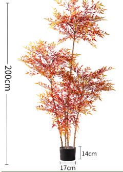 Majestic Autumn Canopy Permanent Collection