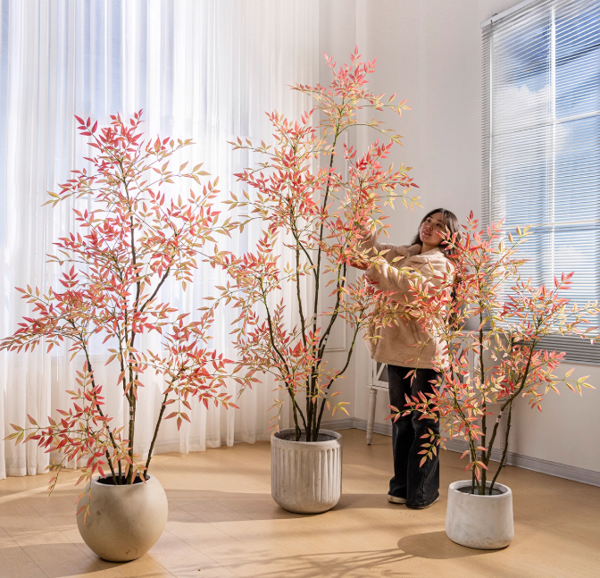 Whisper Canopy Tree Botanical Collection